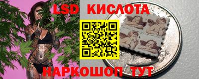 индика Гагарин