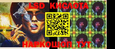 spice Гай