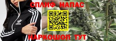 индика Гагарин