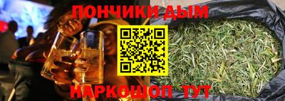 индика Гагарин