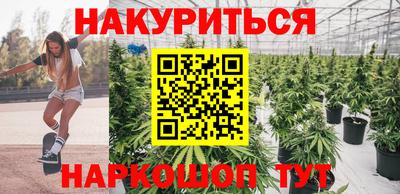 индика Гагарин