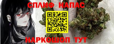 индика Гагарин