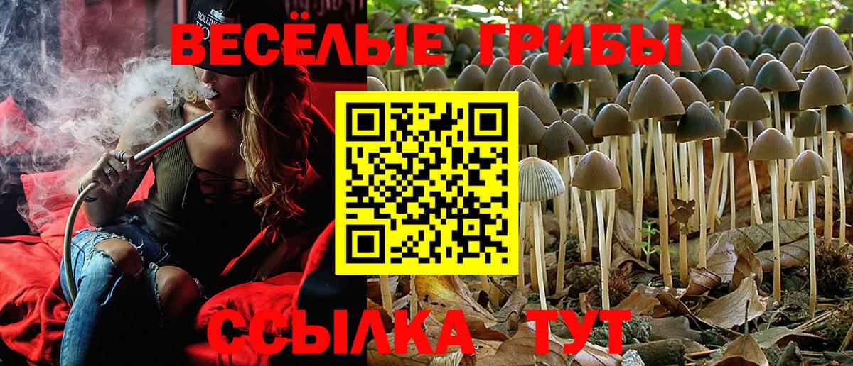Галлюциногенные грибы Magic Shrooms Карпинск